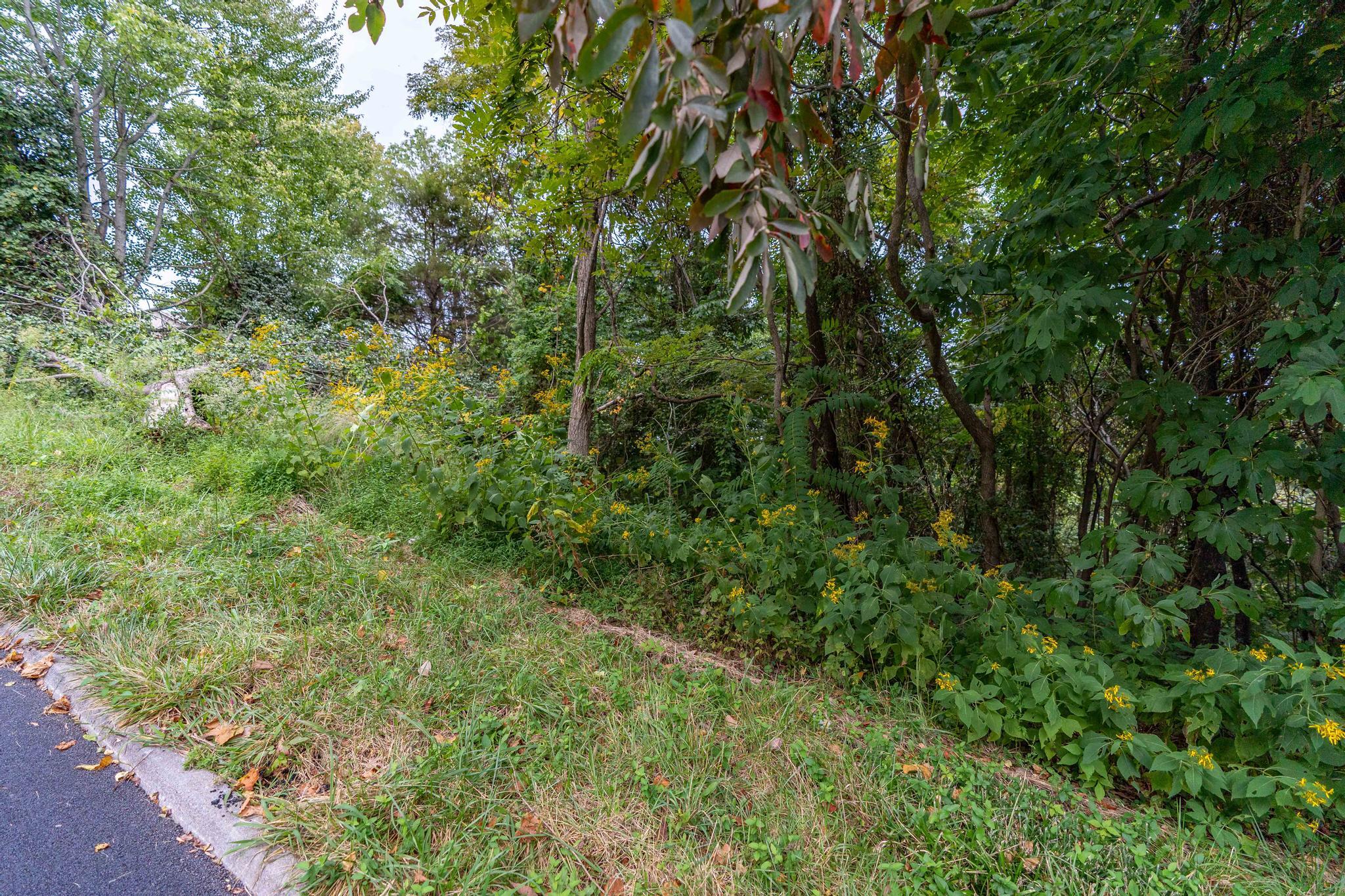 473 Hidden Acres Road, Unit 1517 Kingsport, TN 37664 - Photo 7 of 22 473 Hidden Acres Road (28 of 35)