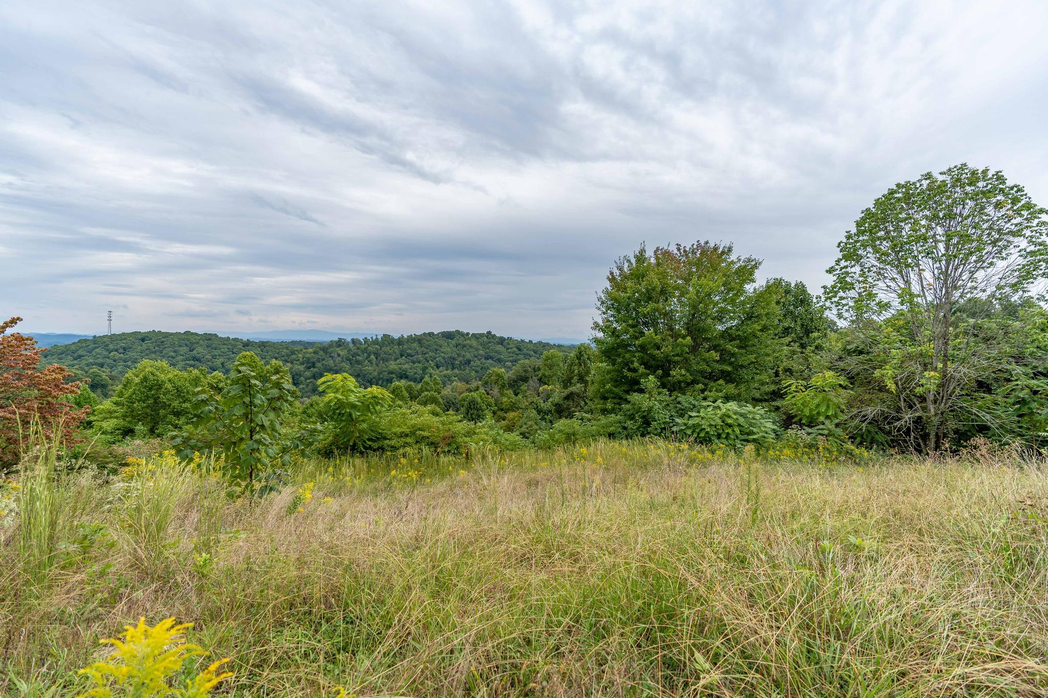 473 Hidden Acres Road, Unit 1517 Kingsport, TN 37664 - Photo 8 of 22 473 Hidden Acres Road (31 of 35)
