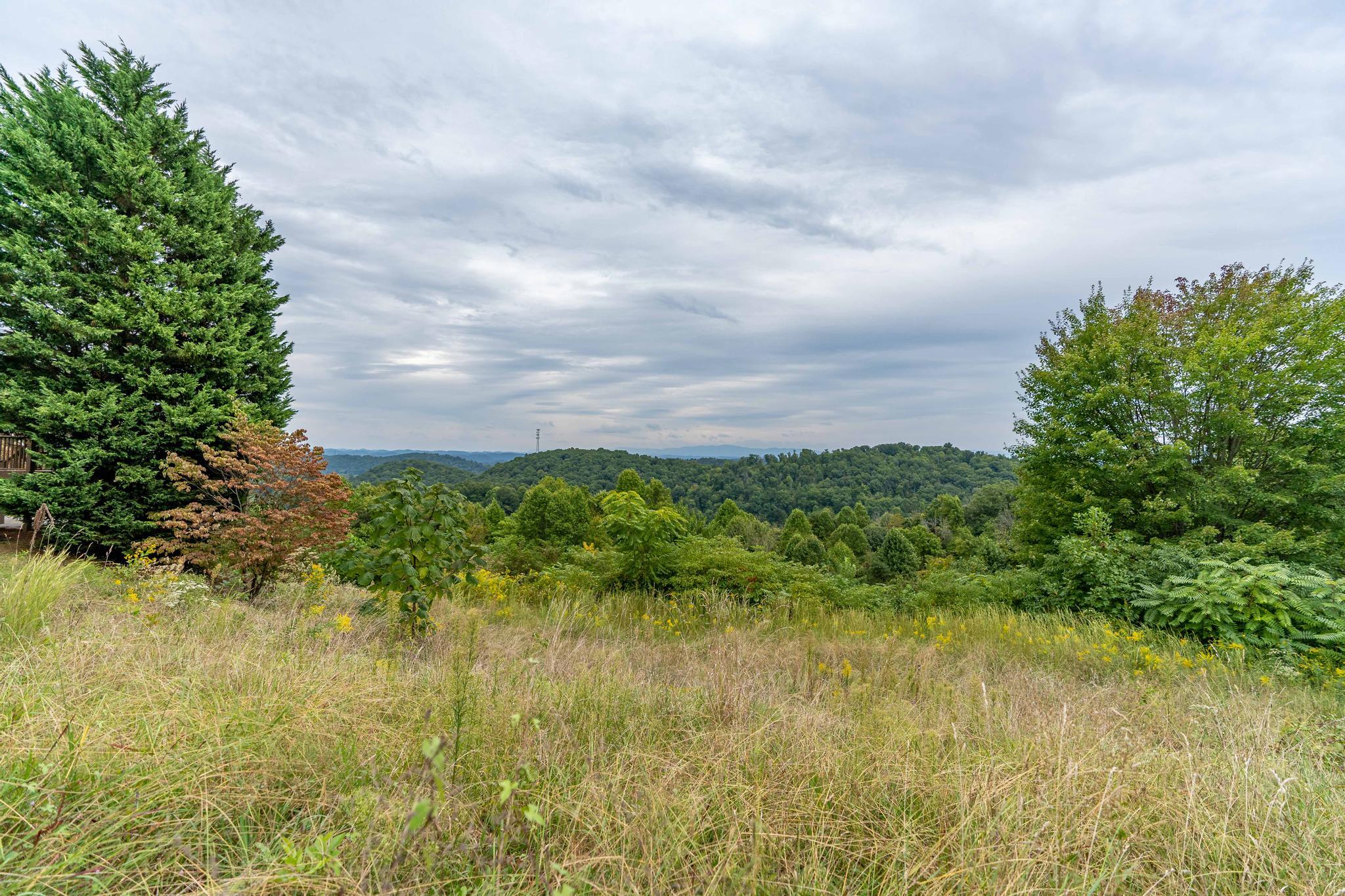 473 Hidden Acres Road, Unit 1517 Kingsport, TN 37664 - Photo 9 of 22 473 Hidden Acres Road (32 of 35)