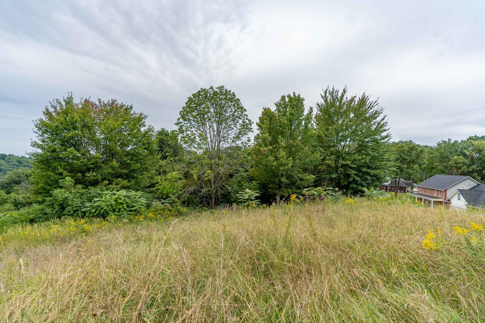 473 Hidden Acres Road, Unit 1517 Kingsport, TN 37664 - Photo 10 of 22 473 Hidden Acres Road (33 of 35)