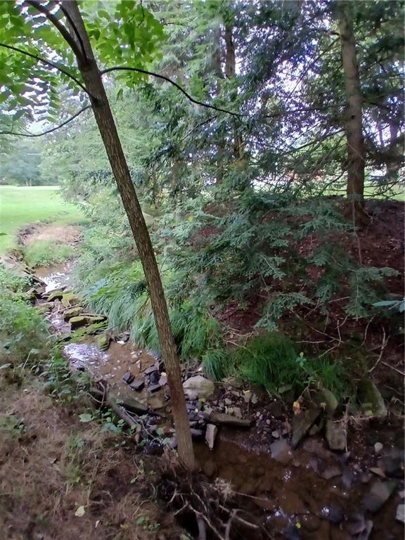 660 Methodist Road Greenville, PA 16125 - Photo 20 of 27 a view of a forest with a tree