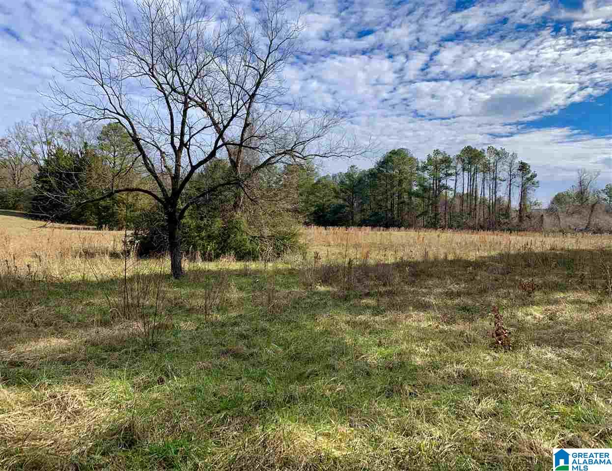 0 County Road 16 Calera, AL 35040 - Photo 17 of 22