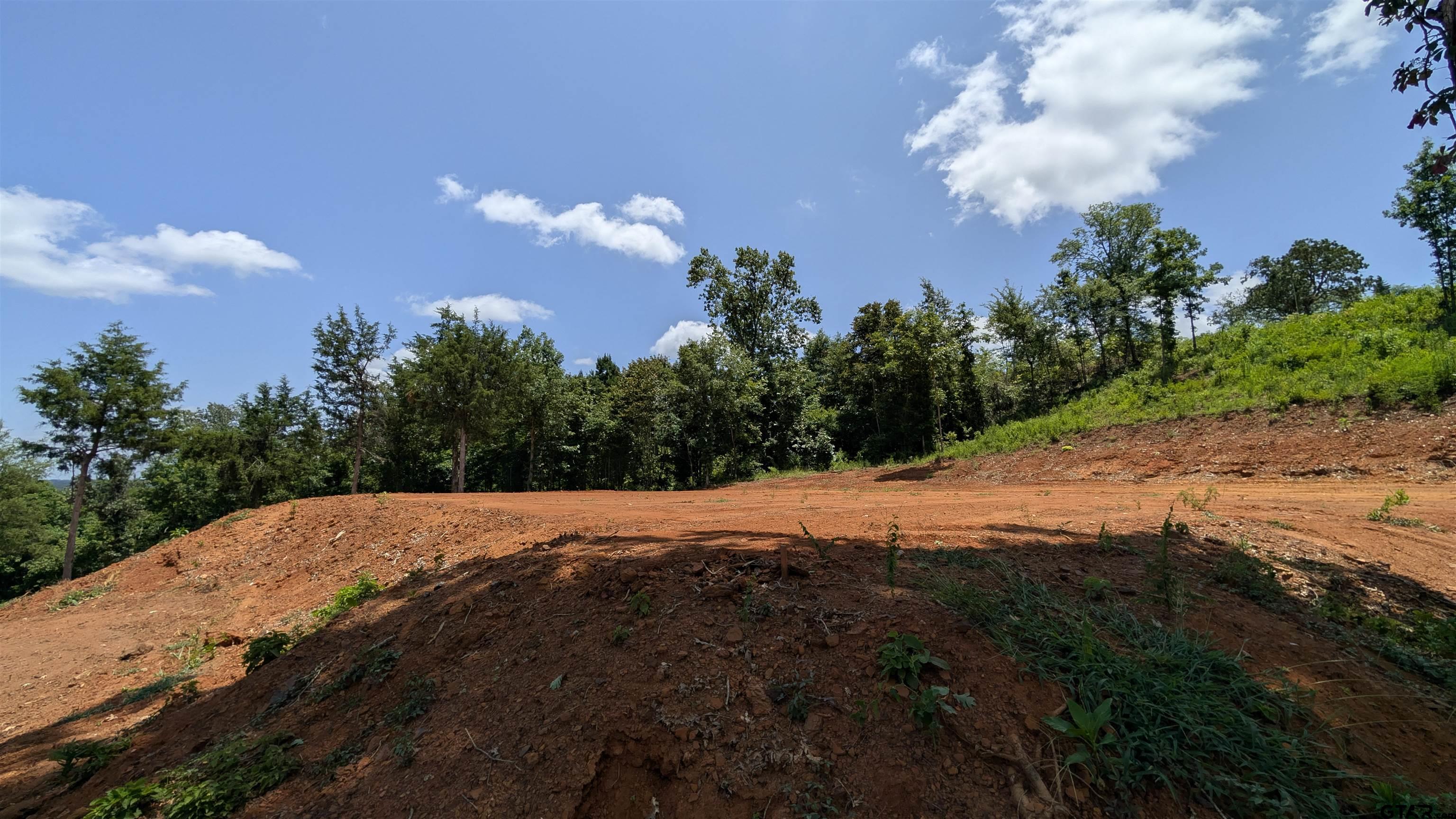 16416 Ridgeline Loop Winona, TX 75792 - Photo 11 of 16