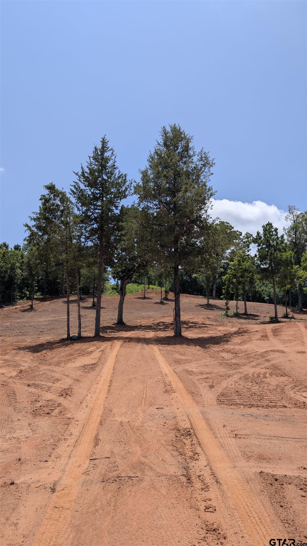 16416 Ridgeline Loop Winona, TX 75792 - Photo 14 of 16