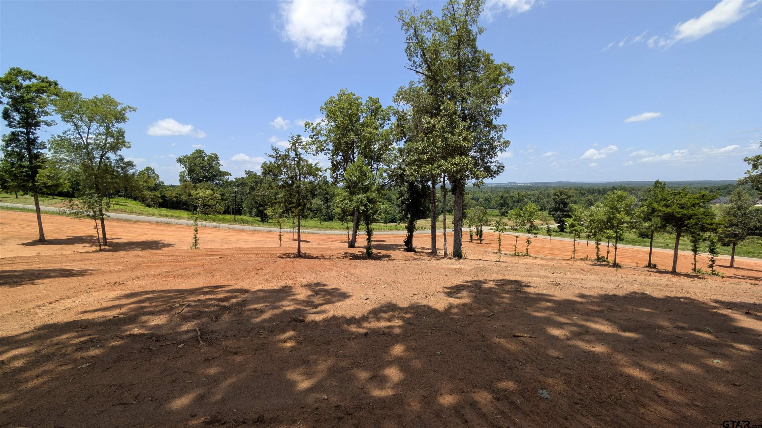 16416 Ridgeline Loop Winona, TX 75792 - Photo 6 of 16