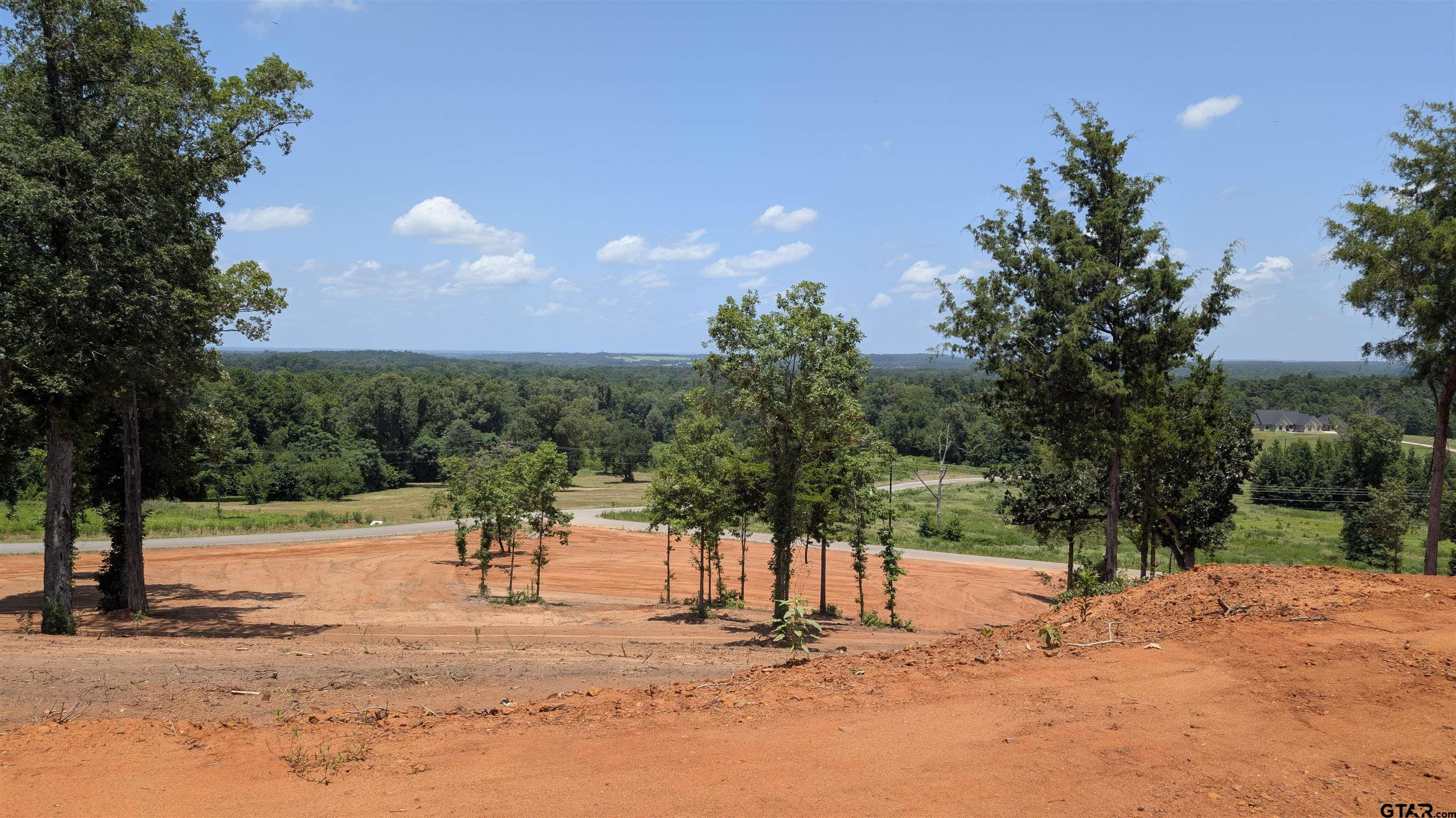 16416 Ridgeline Loop Winona, TX 75792 - Photo 7 of 16