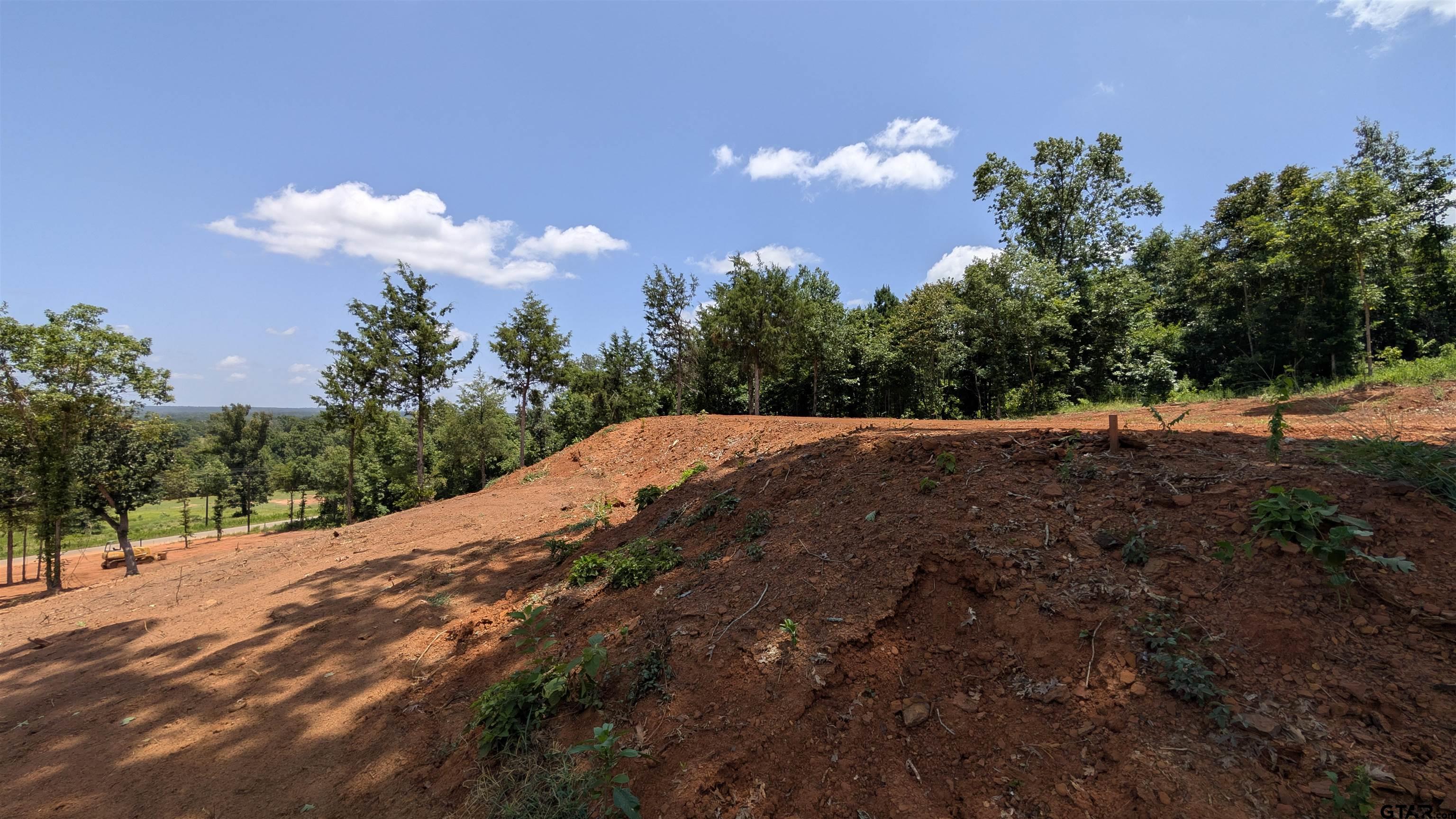 16416 Ridgeline Loop Winona, TX 75792 - Photo 9 of 16