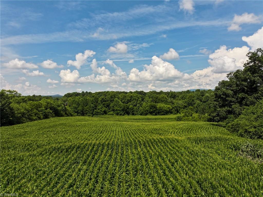 360 Mountain Park Road State Road, NC 28676 - Photo 6 of 22 Gallery Image 6