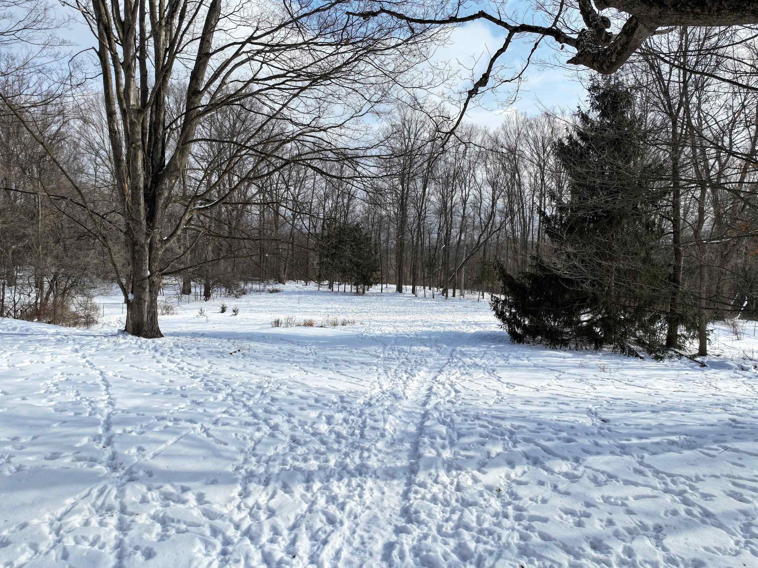 23 East Prospect Street Brandon, VT 05733 - Photo 42 of 45