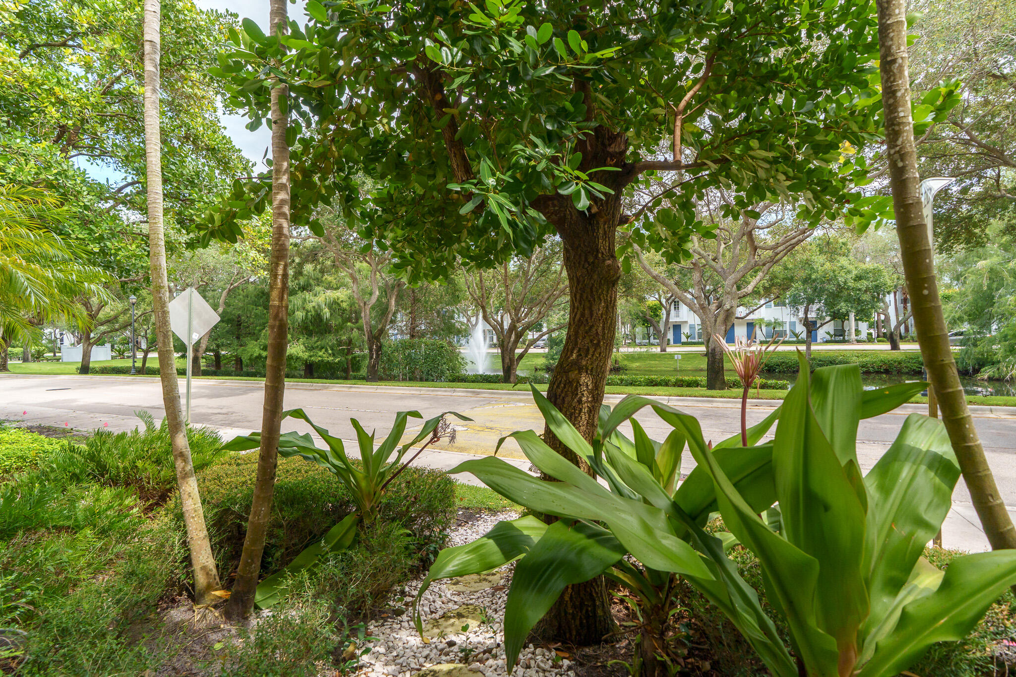 1108 Renaissance Way Boynton Beach, FL 33426 - Photo 36 of 41 Fountain View from Lanai