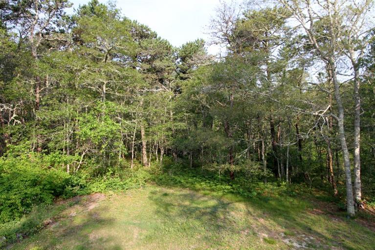 35 Windswept Road Brewster, MA 02631 - Photo 16 of 19 Additional Photo