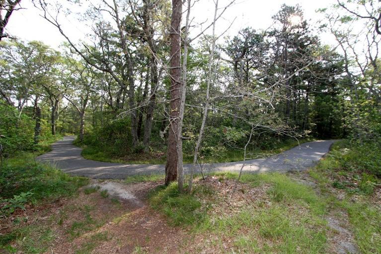 35 Windswept Road Brewster, MA 02631 - Photo 19 of 19 Additional Photo