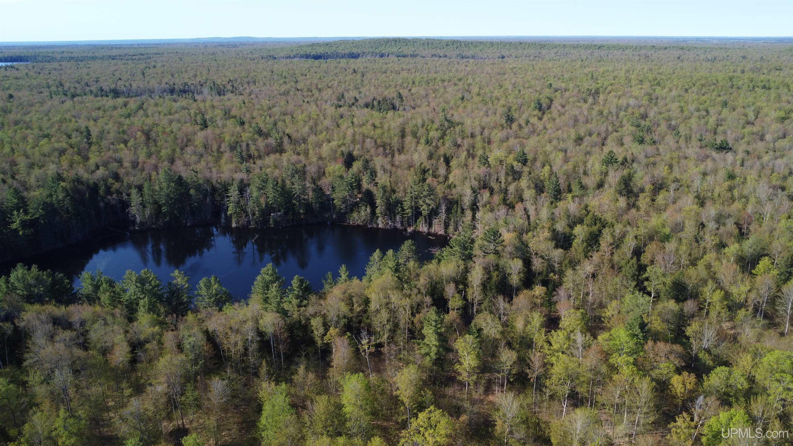On Wolf Lake Road McMillan, MI 49853 - Photo 13 of 37