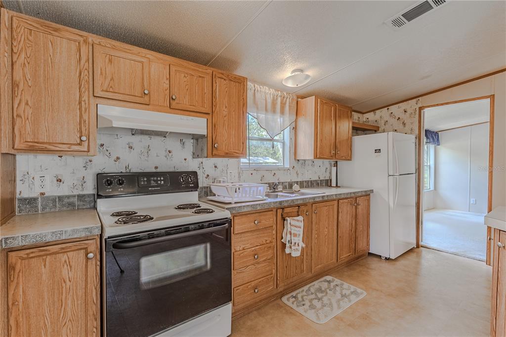 2008 River Road Steinhatchee, FL 32359 - Photo 34 of 40 Gallery Image 34