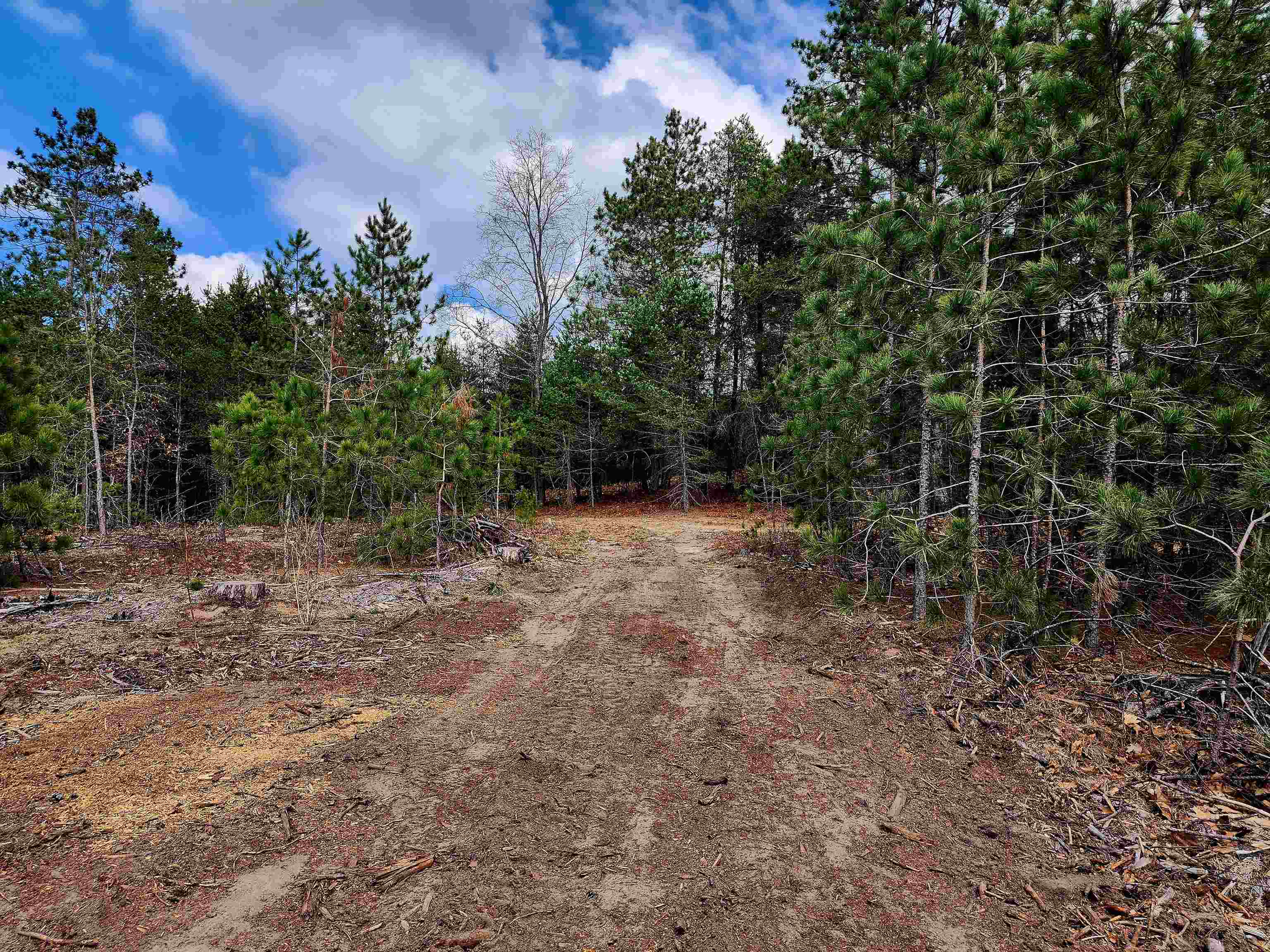 10-acres Niemi Road Kaleva, MI 49645 - Photo 6 of 24