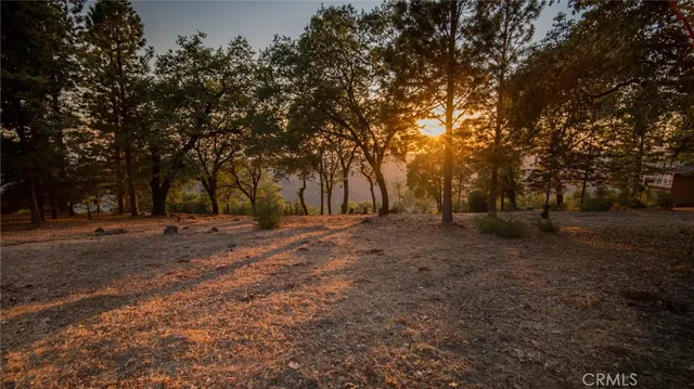 a view of outdoor space with trees