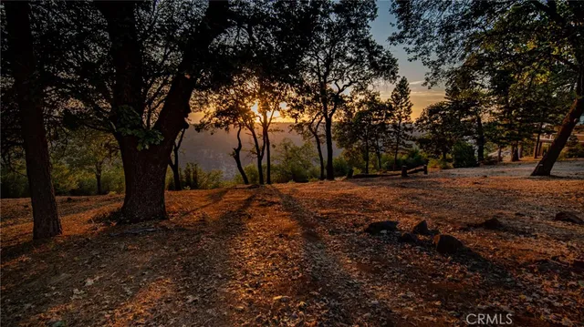 a view of outdoor space with trees