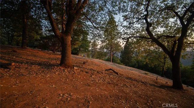 a view of a yard with large trees