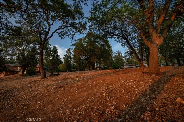 a backyard of a house with large trees