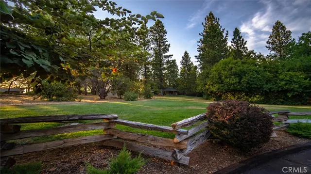 a view of a garden with an outdoor space