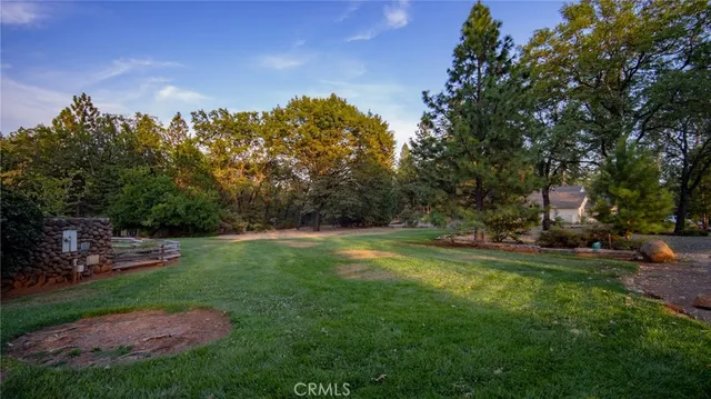 a view of a park with large trees