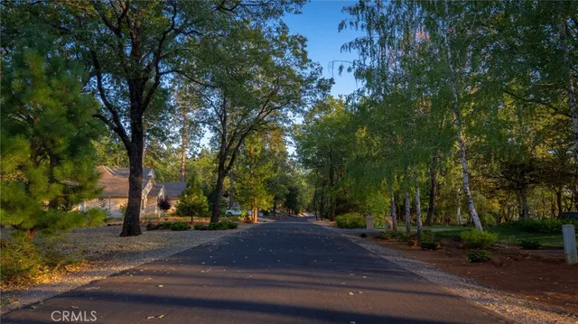 a view of road with trees