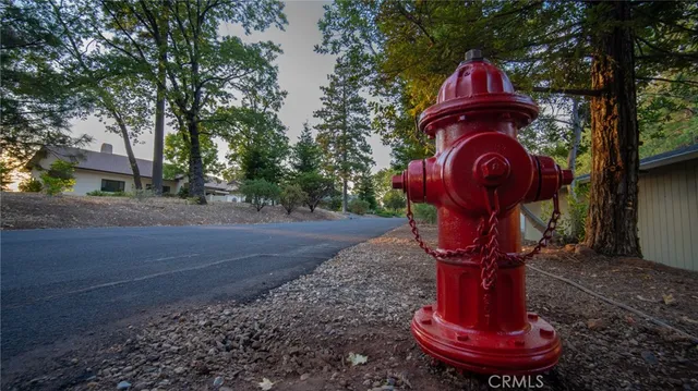 a view of a fire pit with large trees