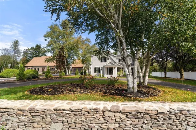 a view of backyard with tree