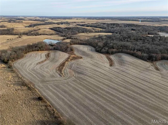 $1 | 0 Elvis Avenue, Knox City, MO 63446