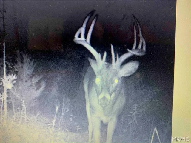 $1 | 0 Elvis Avenue, Knox City, MO 63446