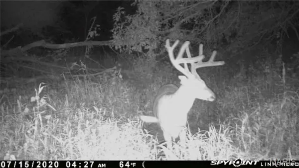 $1 | 0 Elvis Avenue, Knox City, MO 63446