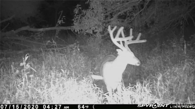 $1 | 0 Elvis Avenue, Knox City, MO 63446