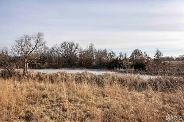 $1 | 0 Elvis Avenue, Knox City, MO 63446