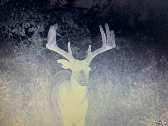 $1 | 0 Elvis Avenue, Knox City, MO 63446