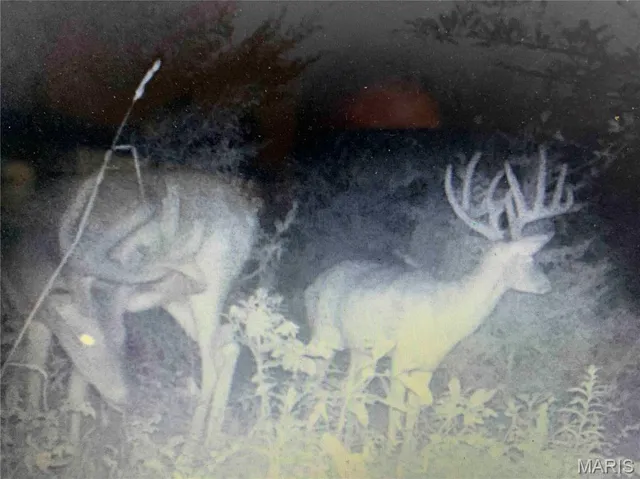 $1 | 0 Elvis Avenue, Knox City, MO 63446