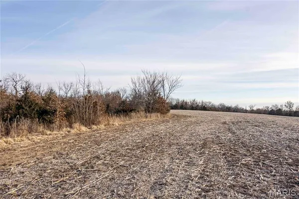 $1 | 0 Elvis Avenue, Knox City, MO 63446