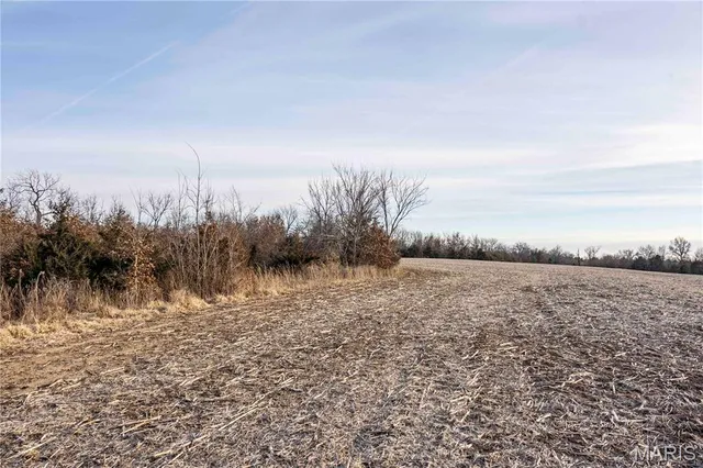 $1 | 0 Elvis Avenue, Knox City, MO 63446