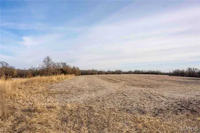 $1 | 0 Elvis Avenue, Knox City, MO 63446