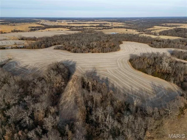 $1 | 0 Elvis Avenue, Knox City, MO 63446