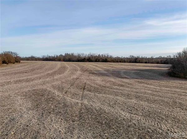 $1 | 0 Elvis Avenue, Knox City, MO 63446