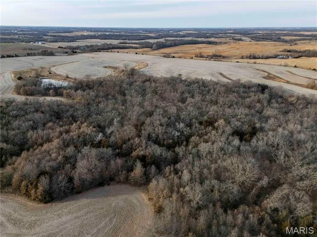 $1 | 0 Elvis Avenue, Knox City, MO 63446