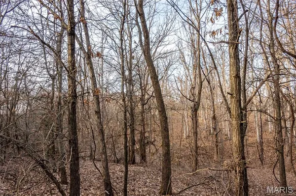 $1 | 0 Elvis Avenue, Knox City, MO 63446