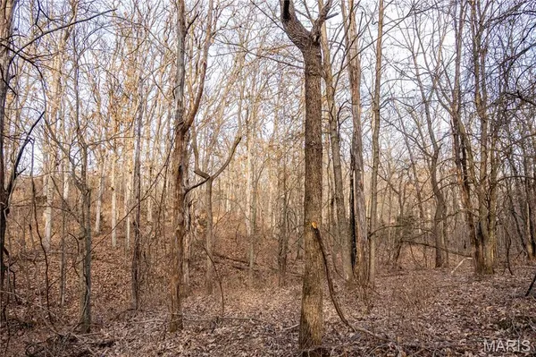 $1 | 0 Elvis Avenue, Knox City, MO 63446