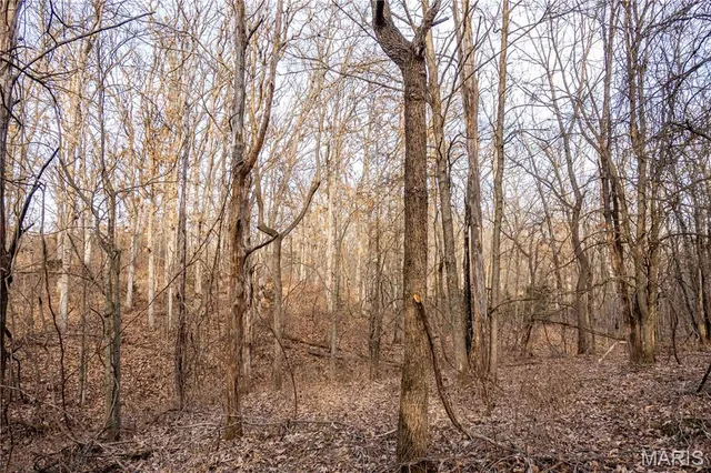 $1 | 0 Elvis Avenue, Knox City, MO 63446