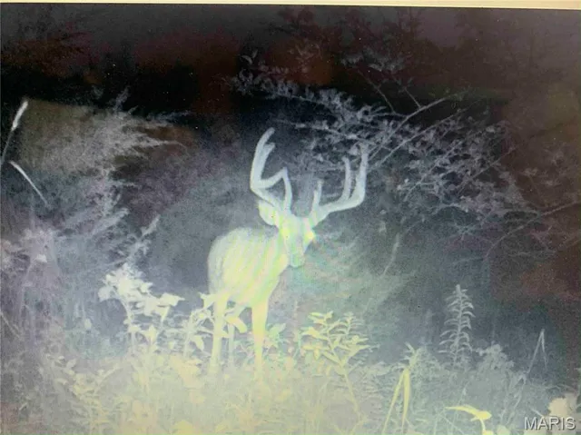 $1 | 0 Elvis Avenue, Knox City, MO 63446