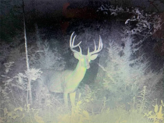 $1 | 0 Elvis Avenue, Knox City, MO 63446