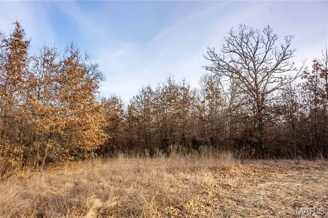 $1 | 0 Elvis Avenue, Knox City, MO 63446