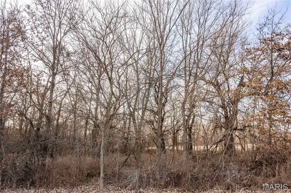 $1 | 0 Elvis Avenue, Knox City, MO 63446