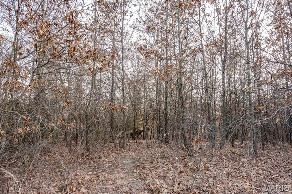 $1 | 0 Elvis Avenue, Knox City, MO 63446