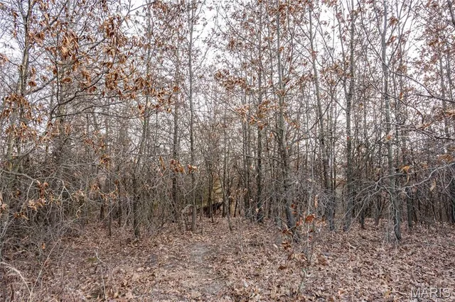 $1 | 0 Elvis Avenue, Knox City, MO 63446